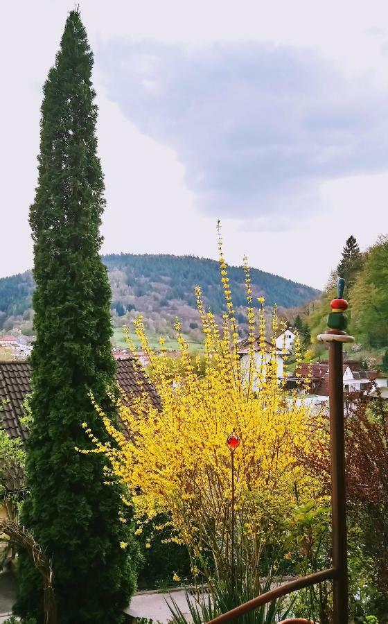 Casa La Collina Delle Ginestre Eberbach (Rhein-Neckar-Kreis) Exterior foto