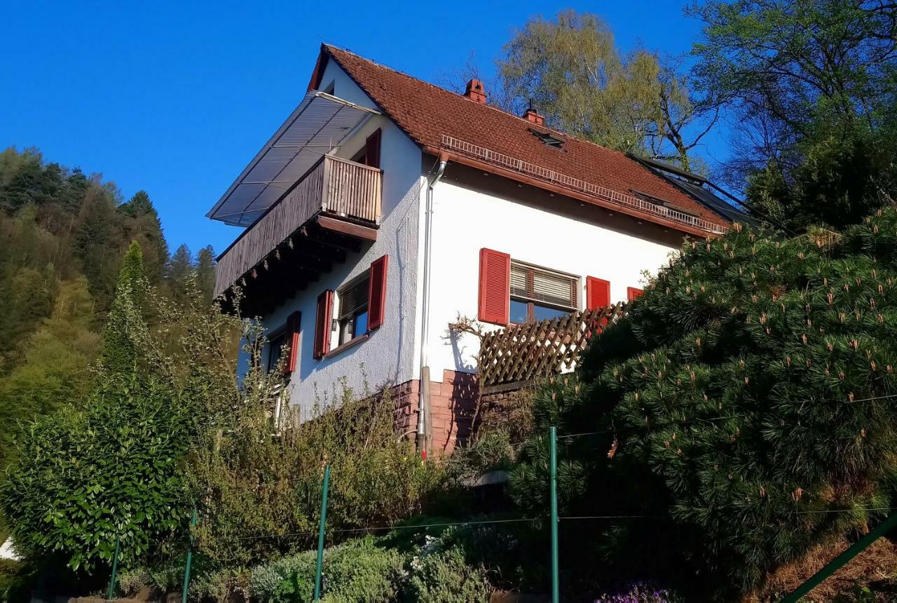Casa La Collina Delle Ginestre Eberbach (Rhein-Neckar-Kreis) Exterior foto